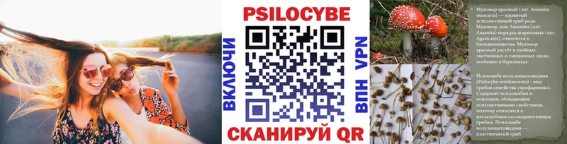 OMG зеркало  Бронницы  Галлюциногенные грибы прущие грибы 